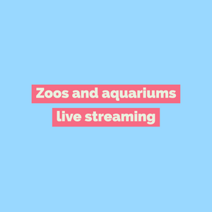 Zoos and aquariums live streaming