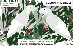 Colour the Birds